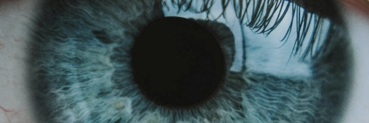 A close-up picture of a cornea