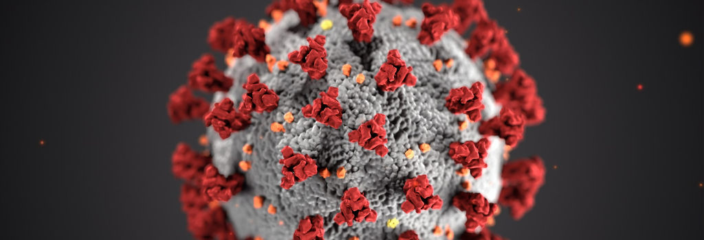 Close-up illustration of a coronavirus