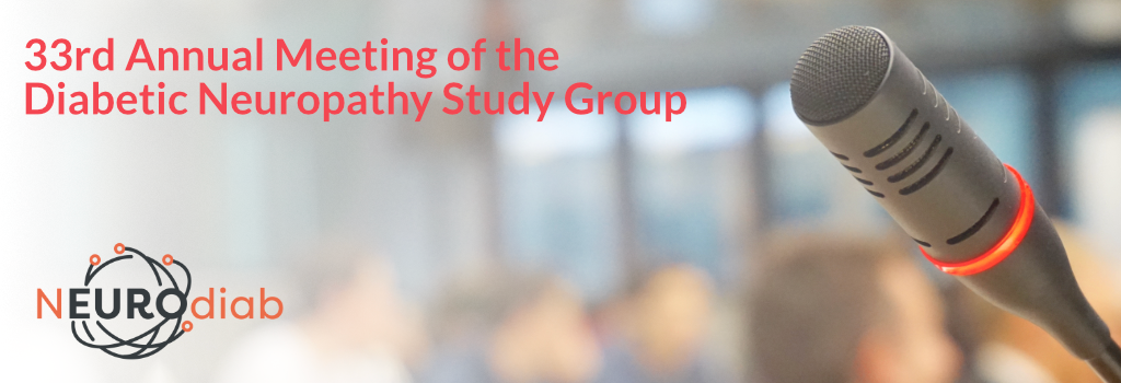 33rd Annual Meeting of the Diabetic Neuropathy Study Group