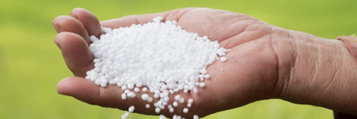 Urea in pellet format in a man's hand